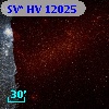 SV* HV 12025