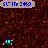 SV* HV  2489
