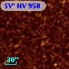 SV* HV   950