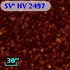 SV* HV  2497