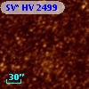 SV* HV  2499