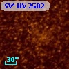 SV* HV  2502