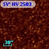 SV* HV  2503