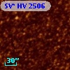 SV* HV  2506