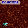 SV* HV  2508