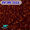 SV* HV  2511
