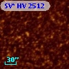 SV* HV  2512