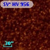 SV* HV   956