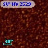 SV* HV  2529