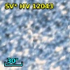 SV* HV 12043