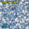 SV* HV   961