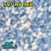 SV* HV   968