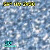 SV* HV  2438
