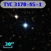 TYC 3170-85-1