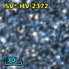 OGLE LMC-SC9  65304