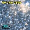 OGLE LMC-SC9 304869