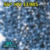 OGLE LMC-SC11 217136