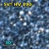 SV* HV   890