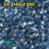 SV* HV  2300