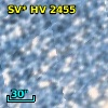 SV* HV  2455