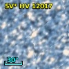 SV* HV 12017