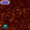 BSDL 1094