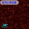 [L71] R110