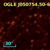 OGLE J050754.50-691531.0