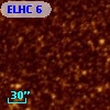 ELHC  6