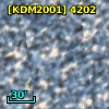 [KDM2001]  4202