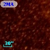 OGLE J051932.61-691625.4