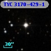 TYC 3170-429-1