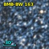 2MASS J05091152-6916174