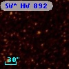 SV* HV   892
