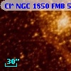 Cl* NGC 1850    FMB       5