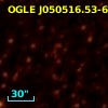 OGLE J050516.53-694456.0