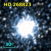 HD 268823