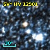 SV* HV 12501