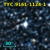 TYC 9161-1124-1