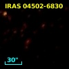 IRAS 04502-6830