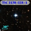TYC 3170-558-1