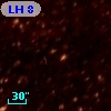 LH   8