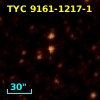 TYC 9161-1217-1
