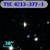 TYC 4213-377-1
