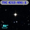 TYC 4213-891-1