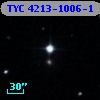 TYC 4213-1006-1