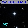 TYC 4213-1116-1