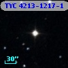 TYC 4213-1217-1