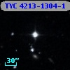 TYC 4213-1304-1