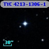 TYC 4213-1306-1